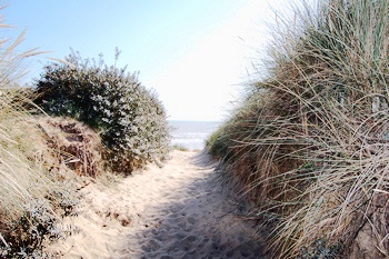 Through the dunes to the beach